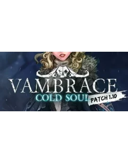 Vambrace: Cold Soul АВТОДОСТАВКА STEAM GIFT РОССИЯ