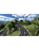 Pro Cycling Manager 2019 АВТОДОСТАВКА STEAM РОССИЯ