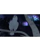 The Red Lantern АВТОДОСТАВКА STEAM GIFT РОССИЯ