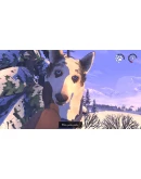 The Red Lantern АВТОДОСТАВКА STEAM GIFT РОССИЯ