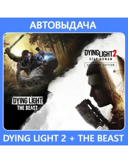 Dying Light 2 UE (PC / Steam Deck) Авто Steam Guard
