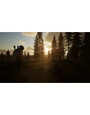 Afterinfection АВТОДОСТАВКА STEAM РОССИЯ