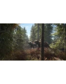 theHunter: Call of the Wild + 9 DLC Steam Ключ РФ+Мир