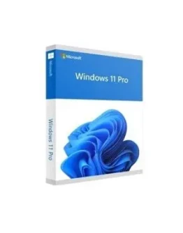 WINDOWS 11 PRO LICENCE KEY+ GiftGLOBAL