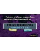 The Jackbox Party Pack 2 АВТОДОСТАВКА STEAM РОССИЯ