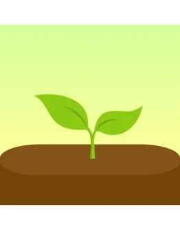 Forest iPhone ios iPad Appstore + ПОДАРОК