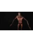 Horror Story - Hallowseed АВТОДОСТАВКА STEAM GIFT RU