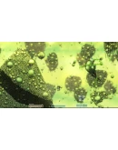 Capsized АВТОДОСТАВКА STEAM GIFT РОССИЯ