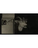 Mundaun АВТОДОСТАВКА STEAM РОССИЯ