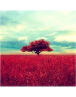 Gloomlogue iPhone ios iPad Appstore + ПОДАРОК