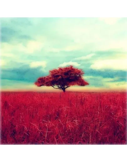 Gloomlogue iPhone ios iPad Appstore + ПОДАРОК