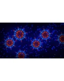 Microcosmum: survival of cellsАВТОДОСТАВКА STEAM GIFT