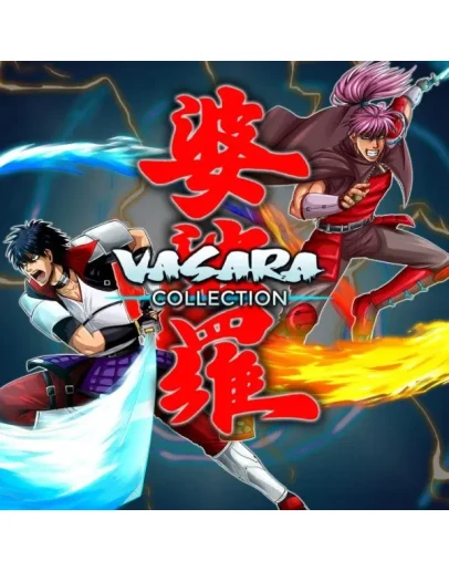 VASARA Collection (Steam key / Region Free)