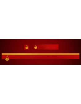 Destiny 2 - Эмблема (Anno Panthera Tigris) PC, PS, Xbox