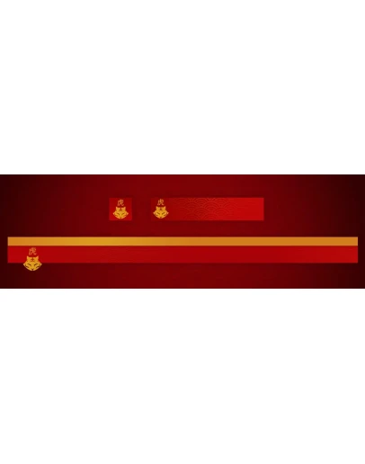 Destiny 2 - Эмблема (Anno Panthera Tigris) PC, PS, Xbox Destiny 2 - Эмблема (Anno Panthera Tigris) PC, PS, Xbox