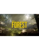 Sons Of The Forest + The Forest ОНЛАЙН STEAM АККАУНТ