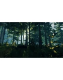 Sons Of The Forest + The Forest ОНЛАЙН STEAM АККАУНТ