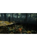 Sons Of The Forest + The Forest ОНЛАЙН STEAM АККАУНТ