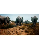 Animalia Survival АВТОДОСТАВКА STEAM GIFT РОССИЯ