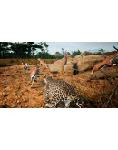 Animalia Survival АВТОДОСТАВКА STEAM GIFT РОССИЯ