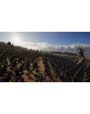 Epic Fantasy Battle Simulator STEAM GIFT РОССИЯ