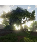 ELEX II 2 Xbox One & Xbox Series XS Аренда ELEX II 2 Xbox One & Xbox Series XS Аренда