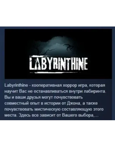 Labyrinthine АВТОДОСТАВКА STEAM РОССИЯ