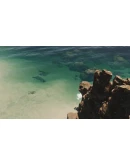 Nature Treks: Together АВТОДОСТАВКА STEAM GIFT RUSSIA