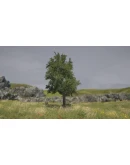 Tree Simulator 2022 АВТОДОСТАВКА STEAM GIFT РОССИЯ