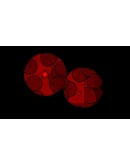 Disc Room АВТОДОСТАВКА STEAM GIFT РОССИЯ