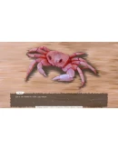 Sand Castle / Замок из Песка STEAM GIFT FOR RUSSIA