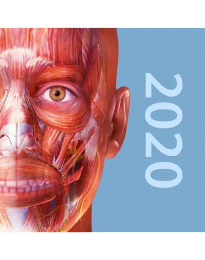 Muscles &amp Kinesiology iPhone ios iPad Appstore +