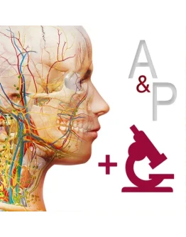 Anatomy & Physiology iPhone ios iPad Appstore + Anatomy & Physiology iPhone ios iPad Appstore +