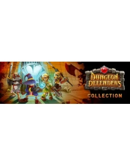 Dungeon Defenders Collection Gift Copy - Region Free
