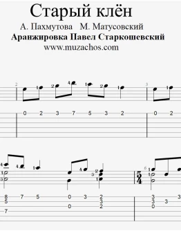 Старый клён (А. Пахмутова). Табы и ноты для гитары