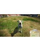 Animal Shelter АВТОДОСТАВКА STEAM РОССИЯ