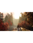 LIFE IS STRANGE 2 COMPLETE SEASON XBOXКЛЮЧ