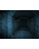 Dracula 3: The Path of the Dragon STEAM РОССИЯ