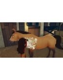 DreamWorks Spirit Lucky's Big Adventure STEAM GIFT