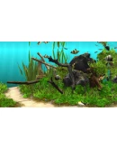 Behind Glass: Aquarium Simulator STEAM РОССИЯ