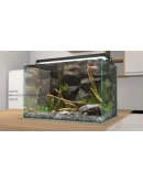 Behind Glass: Aquarium Simulator STEAM РОССИЯ