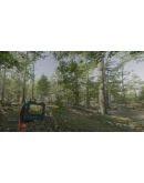 VR Walking Simulator АВТОДОСТАВКА STEAM GIFT РОССИЯ