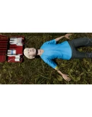 Accident (Steam key / РФ+Весь Мир)