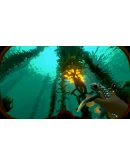 Subnautica + Subnautica Below Zero Steam PAYPAL