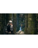 DARK SOULS: Prepare To Die Edition Steam Gift RU/CIS