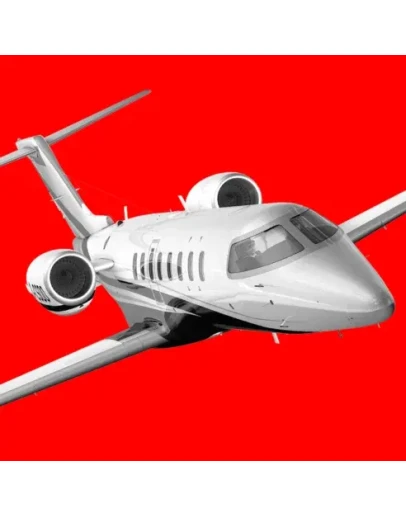 Aerofly FS 2 Flight Simulator iPhone ios Appstore +