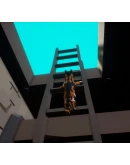 Cat Gets Medieval АВТОДОСТАВКА STEAM GIFT RU