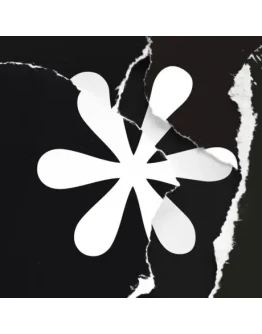 Song of Bloom iPhone ios iPad Appstore + БОНУС