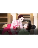 Lady in Mystery АВТОДОСТАВКА STEAM GIFT FOR RUSSIA