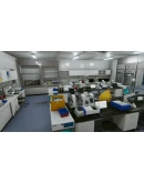 Tested on Humans: Escape Room STEAM GIFT РОССИЯ